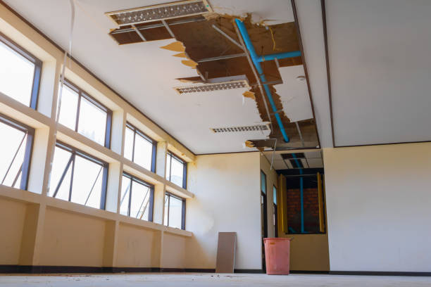 Best Sewage cleanup and water damage restoration  in Milford Mill, MD