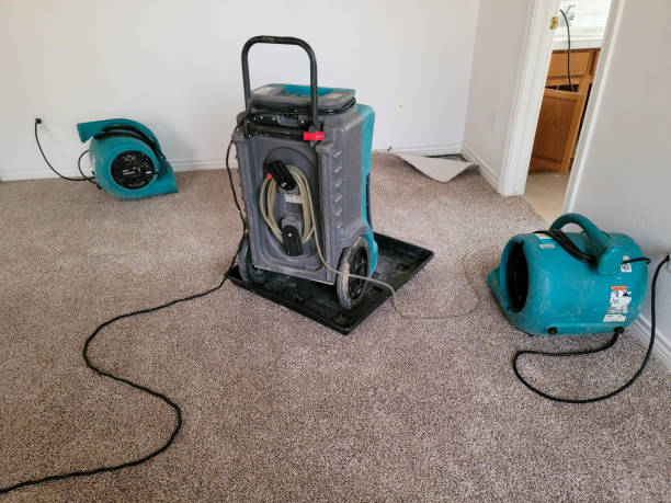 Best Mold removal after water damage  in Milford Mill, MD