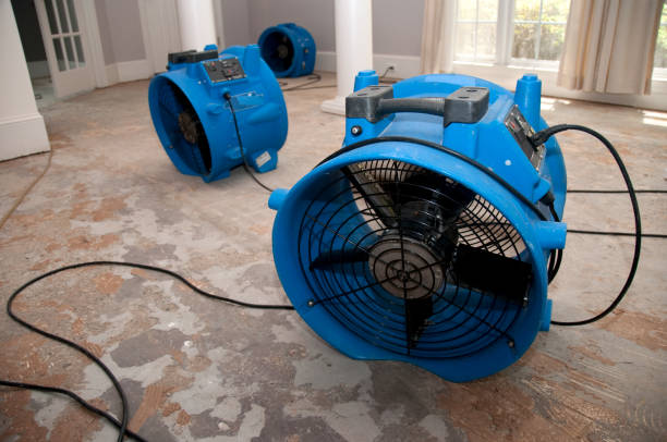 Best Flood damage cleanup  in Milford Mill, MD