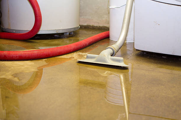 Best Residential water damage restoration  in Milford Mill, MD