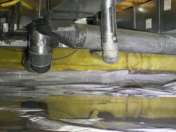 Best Professional water damage repair  in Milford Mill, MD