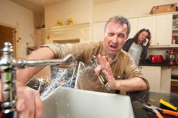 Best Carpet water damage restoration  in Milford Mill, MD